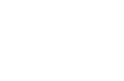 Vida Nexus