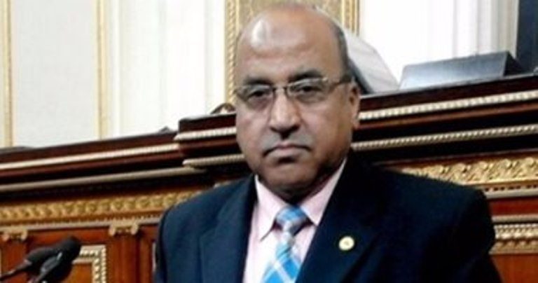 نائب برلماني يطالب الحكومة بوقف معاناة 34 ألف من عمال التشجير