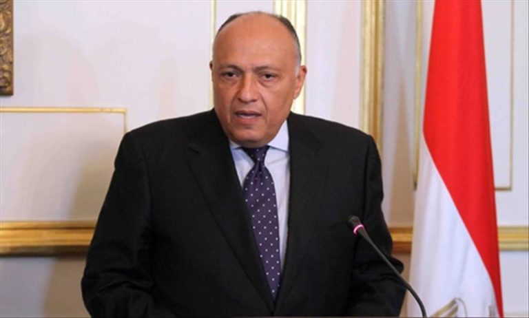 سامح شكرى يلتقى ممثلة الاتحاد الأوروبى فيديريكا موجيرينى