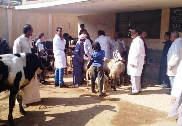 بيطري الشرقية يشارك في ( 3 ) قوافل بيطرية علاجية إرشادية بمراكز ههيا وديرب نجم و مشتول السوق