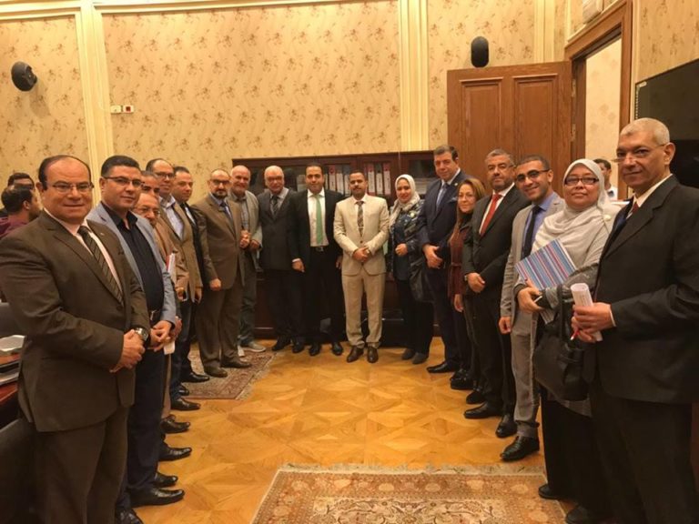 مستقبل وطن يعلن إيقاف حملات إزالة ملاعب النجيلة الصناعية لتقنين الأوضاع