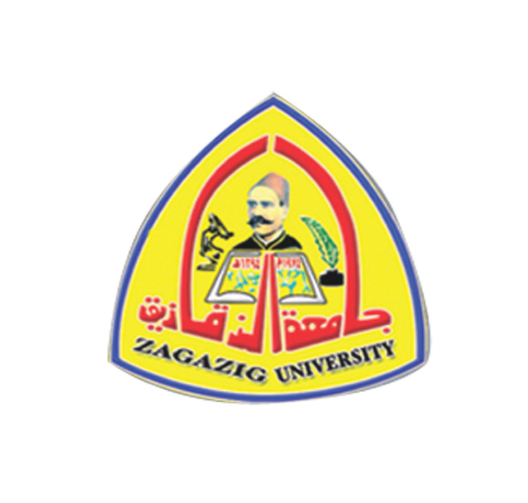 برنامج تدريبي لجامعة الزقازيق تنفيذا لمبادرة الرئيس “صنايعية مصر”