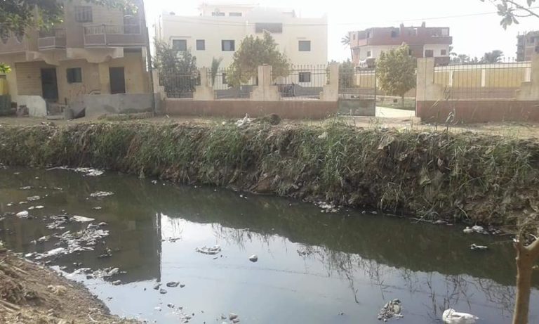 “حفنا” تستغيث من الموت .. فهل من مغيث ؟!