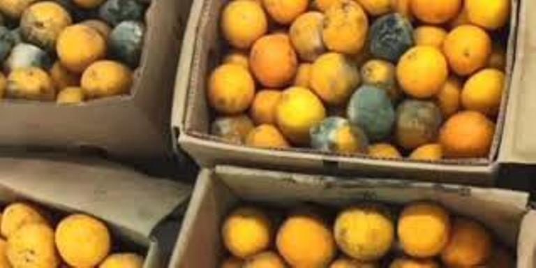 ضبط 27 طن فواكة وخضروات فاسدة  في مدينة العاشر من رمضان