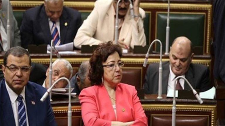 النائبة فايقة فهيم: تراجع العجز فى الميزان التجارى مؤشر قوى على تحسن الاقتصاد