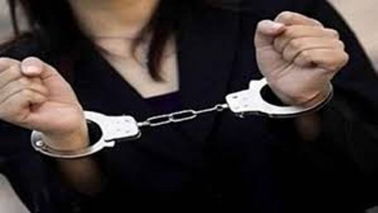النيابة تقرر حبس ربة منزل وممرضة وعاملة استبدلن مولودة أنثى بذكر