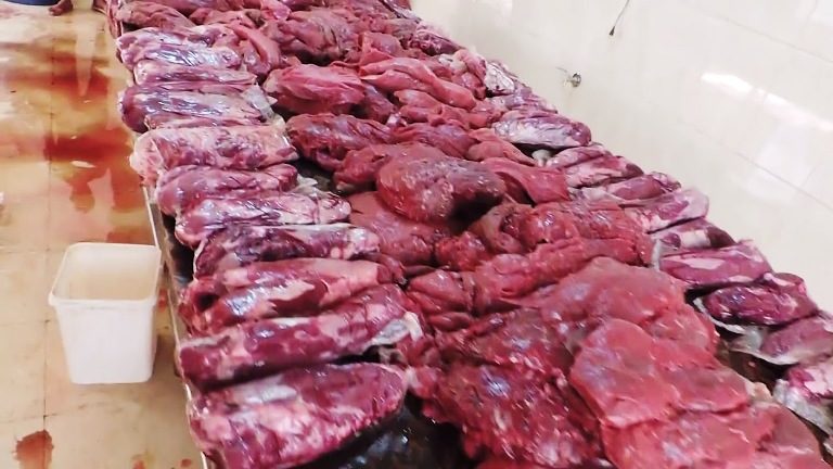 ضبط لحوم غير صالحة للإستهلاك الآدمي خلال الحملات التفتيشية بالشرقية