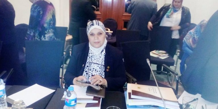 النائبة مايسة عطوة تقترح تعديل بعض أحكام قانون الخدمة المدنية.. التفاصيل