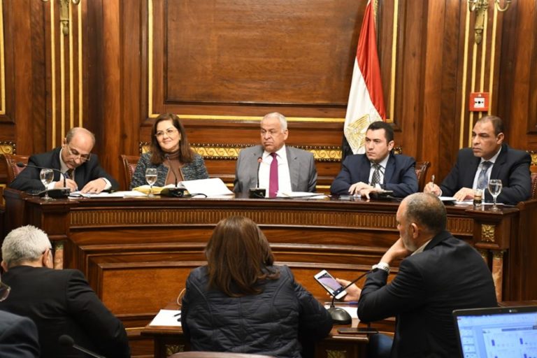 وزيرة التخطيط: 99,5 مليار جنيه قيمة استثمارات قطاع الصناعة خلال عام 2018/2019 بنسبة زيادة 22%