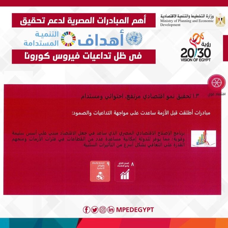 السعيد: مصر قادرة بالمضي قدمًا في تحقيق أهداف التنمية المستدامة الوطنية