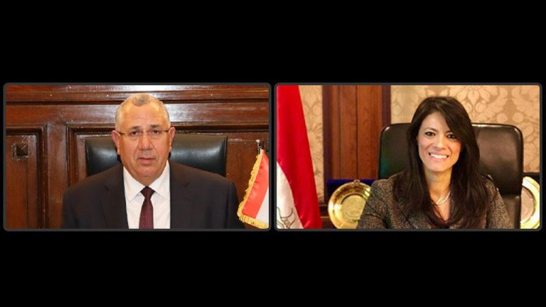 وزيرا التعاون الدولي والزراعة يبحثان مع الشركاء الدوليين مشروعات القطاع الزراعي