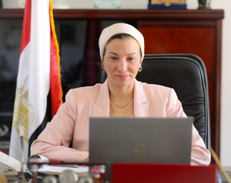 البيئة والتنمية المحلية تبحثان خطط مواجهة السحابة السوداء