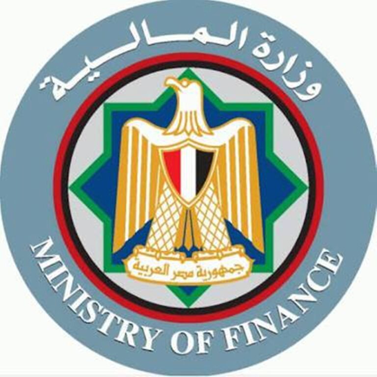 إغلاق منظومتي إدارة المعلومات المالية الحكومية والدفع الإلكترونى اليوم الأحد عن العام المالي ٢٠٢٠/٢٠١٩.. لإعداد الحسابات الختامية