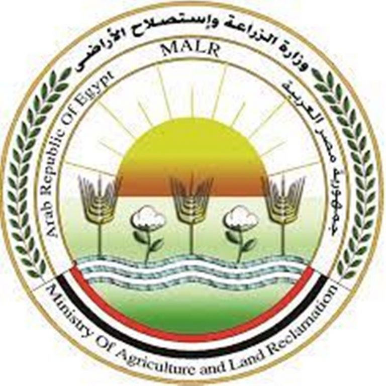 الزراعة: ارتفاع صادرات مصر الزراعية لـ أكثر من 3.7 مليون طن والبطاطس تحتل المركز الثاني بعد الموالح