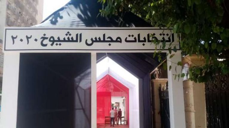 بالصور .. المرأة والشباب وكبار السن في انتخابات الشيوخ 2020