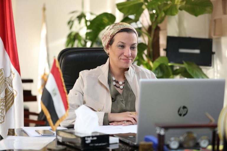 ياسمين فؤاد: القارة الأفريقية لابد أن تكون صوتا واحد من أجل تحقيق مصالحها