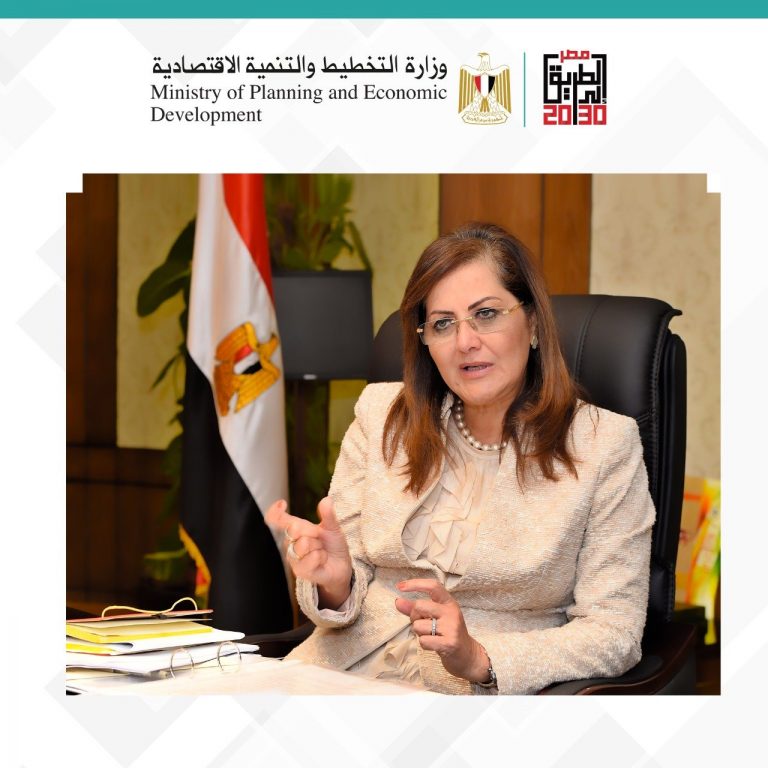 د.هالة السعيد: البرنامج يهدف إلى رفع قدرات المتدربين على تحديد الفجوات التنموية على مستوى المحافظة والمركز والقرية