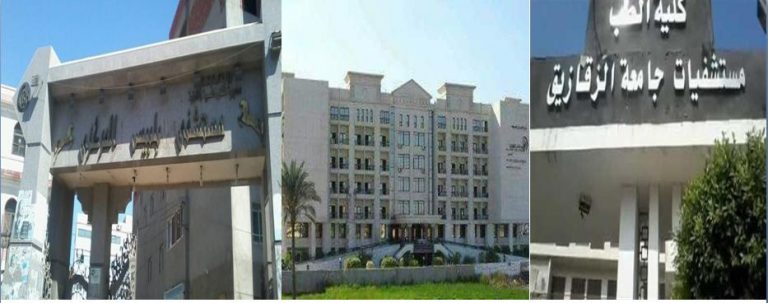 رحلة العذاب وتقرير الذكاء لذوي الإعاقة بين مستشفى الأحرار والجامعة ومستشفى بلبيس العام 