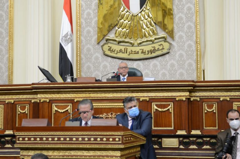 أول مشروع قانون لحماية حقوق المصريين بالخارج..أيمن محسب: المصريون بالخارج أبناء الوطن ويجب أن تسعى الدولة لحمايتهم