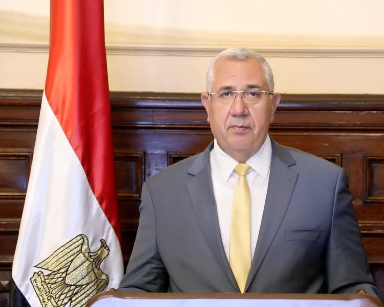 الزراعة: ارتفاع صادرات مصر الزراعية إلى أكثر من 4 مليون طن بزيادة حوالي 15% عن نفس الفترة من العام الماضي