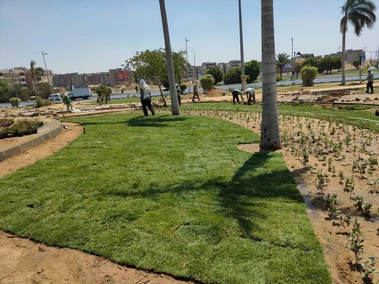 جهاز مدينة العبور ينفذ حملة جديدة لإزالة الإشغالات ويكثف أعمال تطوير الطرق والميادين بالمدينة