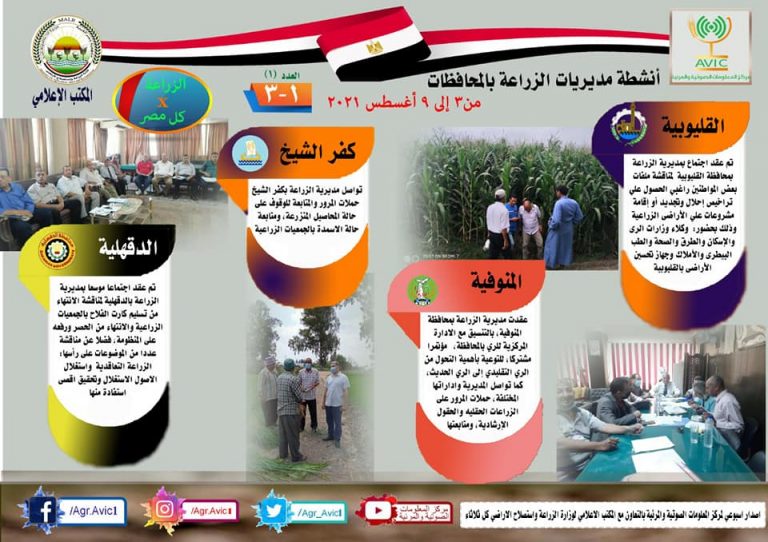 “الزراعة في كل مصر”.. إصدار جديد بالانفوجراف والفيديو لاستعراض جهود القطاع الزراعي في المحافظات كل أسبوع