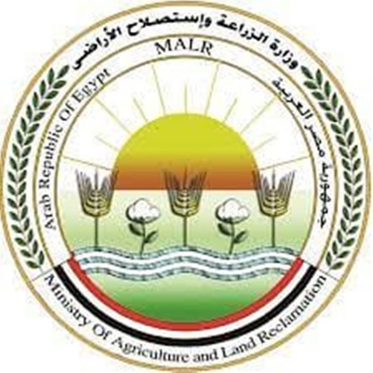 “الزراعة” تستعرض إنجازات مشروع حصر ومكافحة العفن البني في البطاطس
