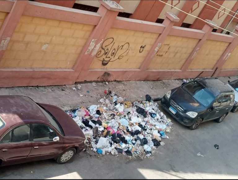 أهالي منطقة مدينة ناصر بسوهاج : صندوق للقمامة يحل مشكلتنا