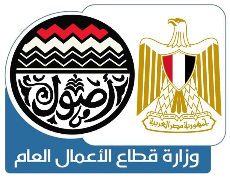“قطاع الأعمال”: مشروع إنتاج السيارة الكهربائية “قائم”.. وتوفير حزمة من المحفزات