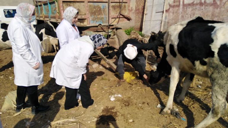 جامعة الزقازيق تختتم أعمال قافلة قرية الجمالية ضمن مبادرة حياة كريمة بالكشف على 1864 حالة في 10 تخصصات طبية