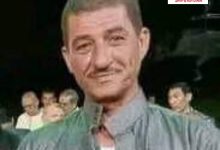 عائلات آل شاهين