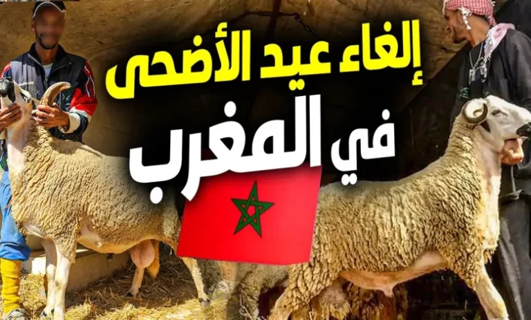 المغرب يقرر إلغاء ذبح الأضاحي في عيد الأضحى 2025