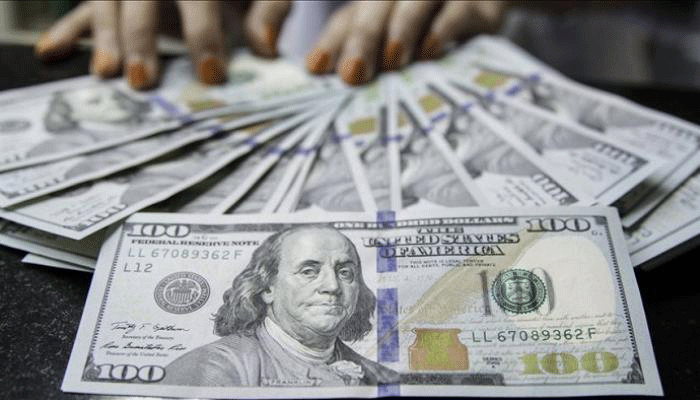 سعر الدولار