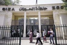 حديقة الحيوان