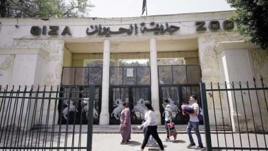 حديقة الحيوان