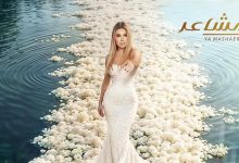 نوال الزغبي
