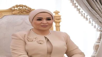 انتصار السيسي