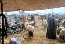 عيد الأضحى