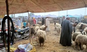 عيد الأضحى
