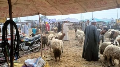 عيد الأضحى