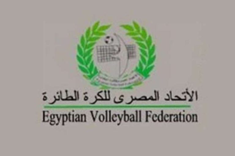 الكرة الطائرة