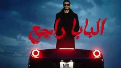 البابا راجع