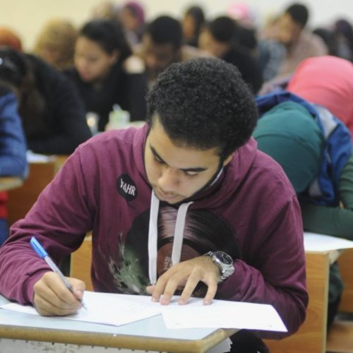 نتيجة الدبلومات الفنية