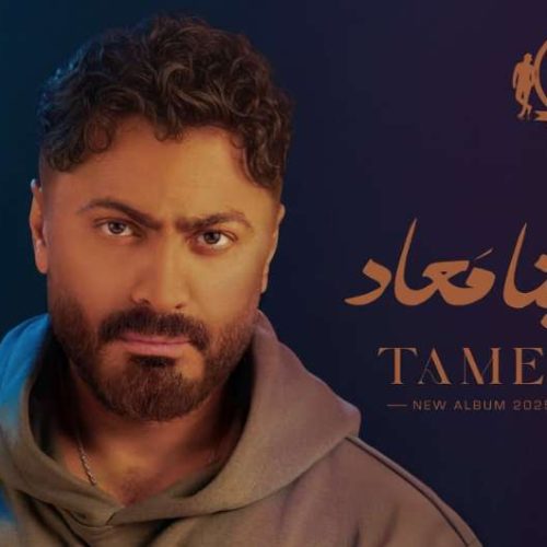 تامر حسني