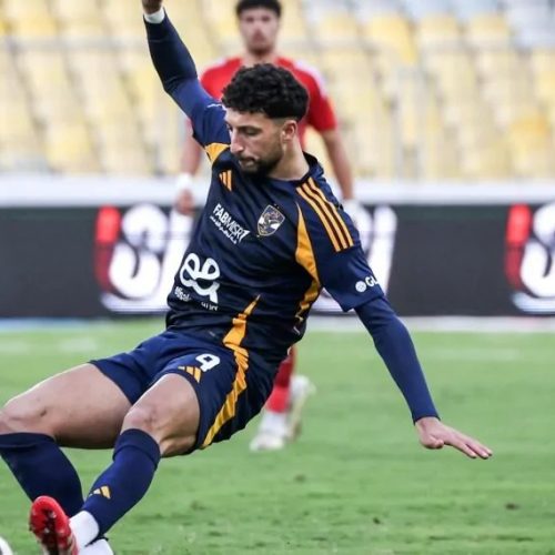 وسام أبو علي