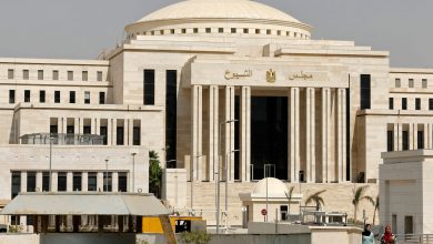 مجلس الشيوخ