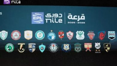 الدوري المصري