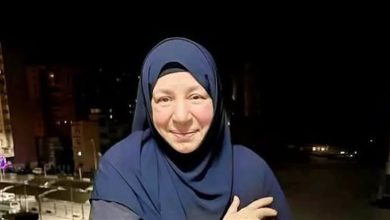 لطفي لبيب