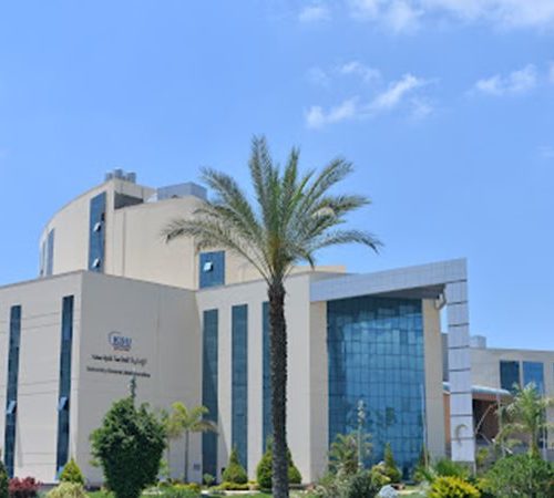 الجامعات الأهلية والحكومية
