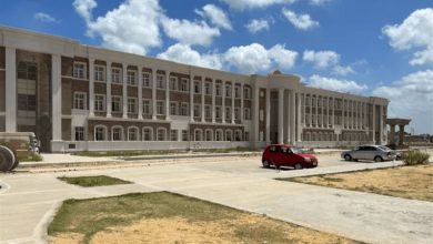 جامعة الإسكندرية الأهلية